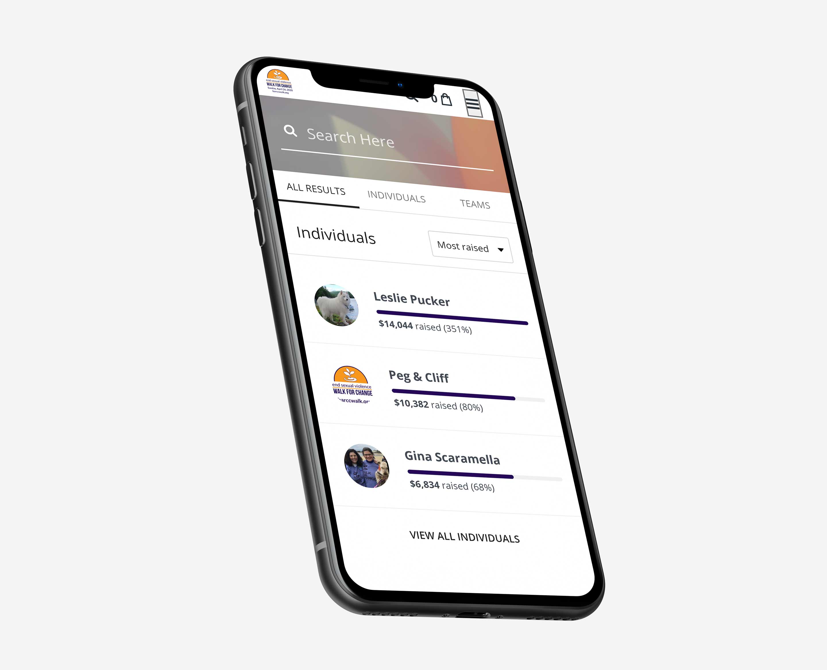 BARCC Walk fundraiser search interface